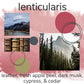 Lenticularis