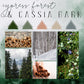 Cypress Forest & Cassia Bark